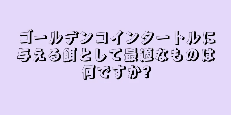 ゴールデンコインタートルに与える餌として最適なものは何ですか?