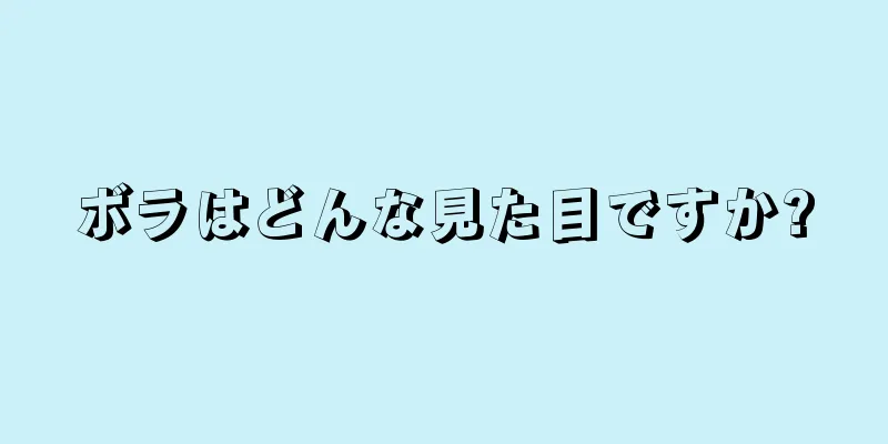 ボラはどんな見た目ですか?