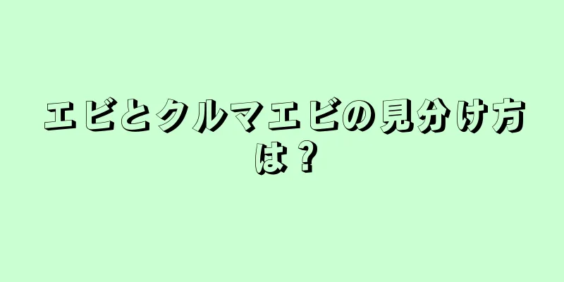 エビとクルマエビの見分け方は？