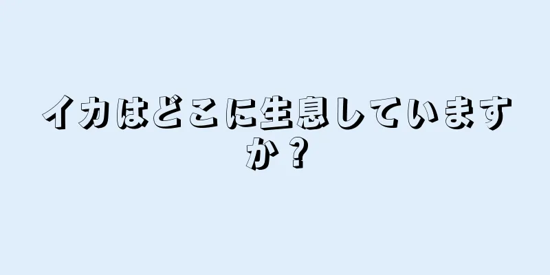 イカはどこに生息していますか？