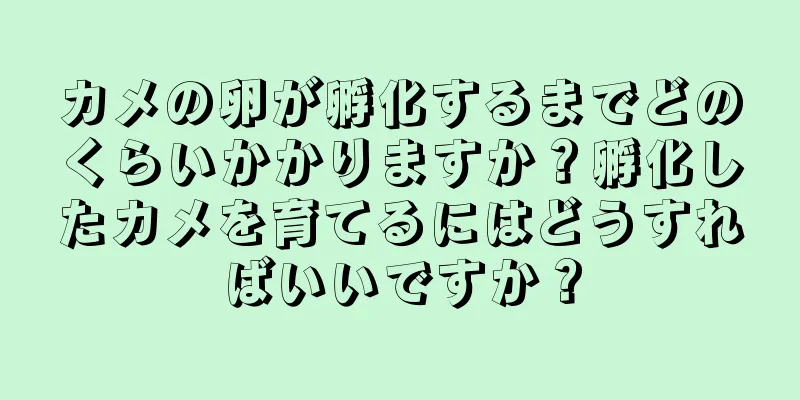 カメの卵が孵化するまでどのくらいかかりますか？孵化したカメを育てるにはどうすればいいですか？