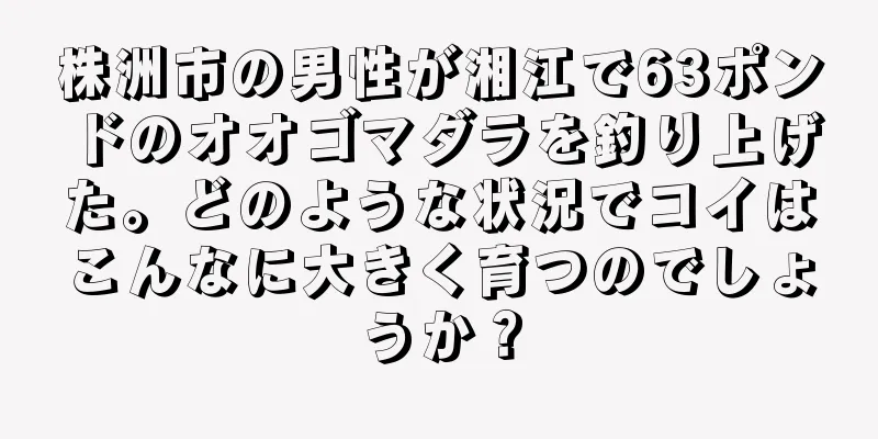 株洲市の男性が湘江で63ポンドのオオゴマダラを釣り上げた。どのような状況でコイはこんなに大きく育つのでしょうか？