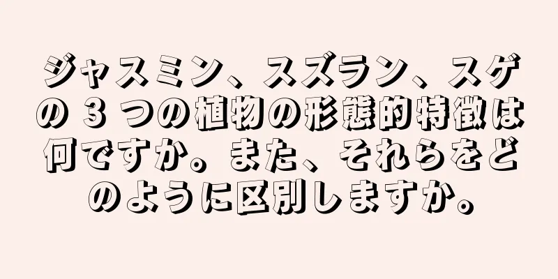 ジャスミン、スズラン、スゲの 3 つの植物の形態的特徴は何ですか。また、それらをどのように区別しますか。