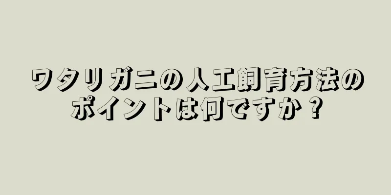 ワタリガニの人工飼育方法のポイントは何ですか？