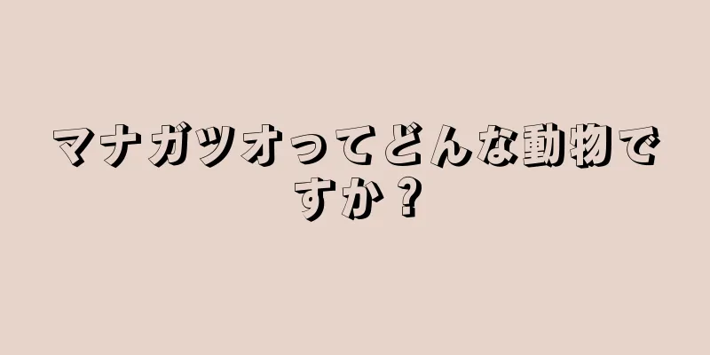 マナガツオってどんな動物ですか？
