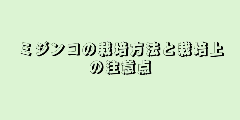 ミジンコの栽培方法と栽培上の注意点