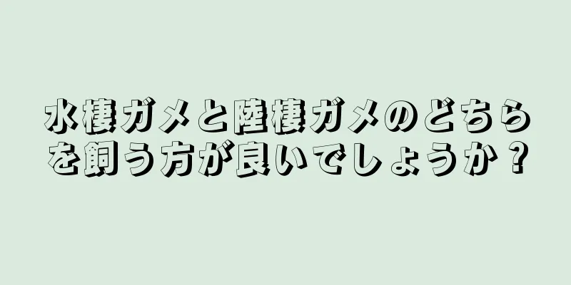 水棲ガメと陸棲ガメのどちらを飼う方が良いでしょうか？