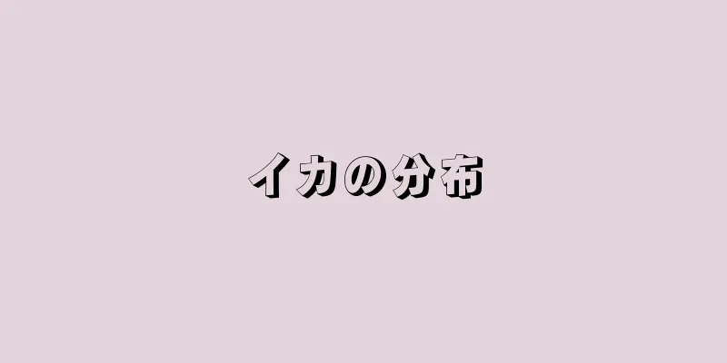 イカの分布