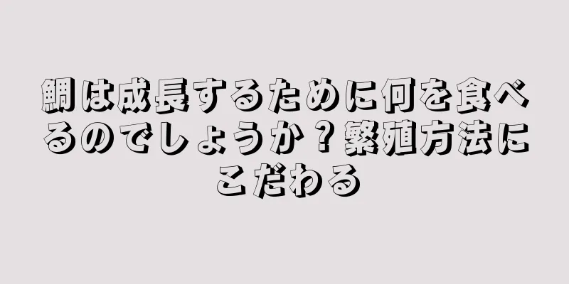 鯛は成長するために何を食べるのでしょうか？繁殖方法にこだわる