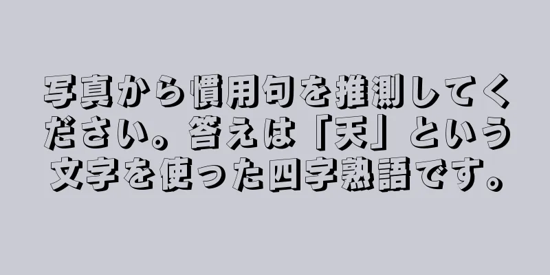 写真から慣用句を推測してください。答えは「天」という文字を使った四字熟語です。