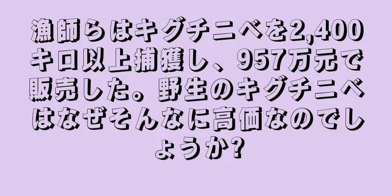 漁師らはキグチニベを2,400キロ以上捕獲し、957万元で販売した。野生のキグチニベはなぜそんなに高価なのでしょうか?
