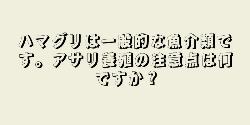 ハマグリは一般的な魚介類です。アサリ養殖の注意点は何ですか？