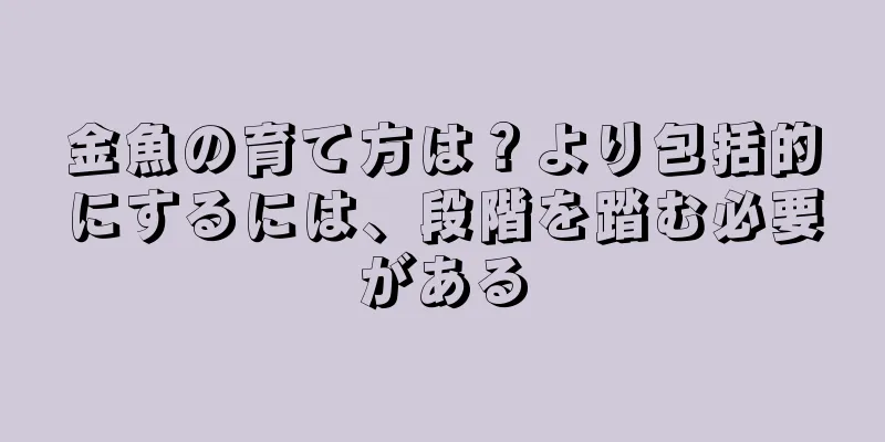 金魚の育て方は？より包括的にするには、段階を踏む必要がある