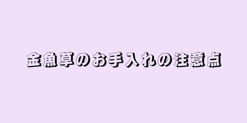 金魚草のお手入れの注意点