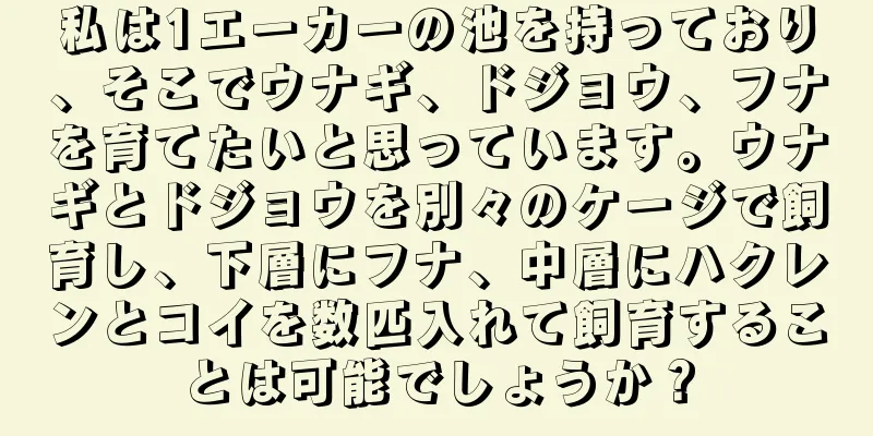 私は1エーカーの池を持っており、そこでウナギ、ドジョウ、フナを育てたいと思っています。ウナギとドジョウを別々のケージで飼育し、下層にフナ、中層にハクレンとコイを数匹入れて飼育することは可能でしょうか？