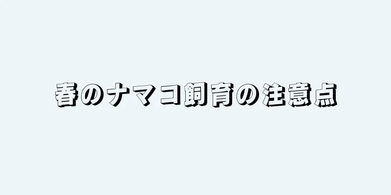 春のナマコ飼育の注意点