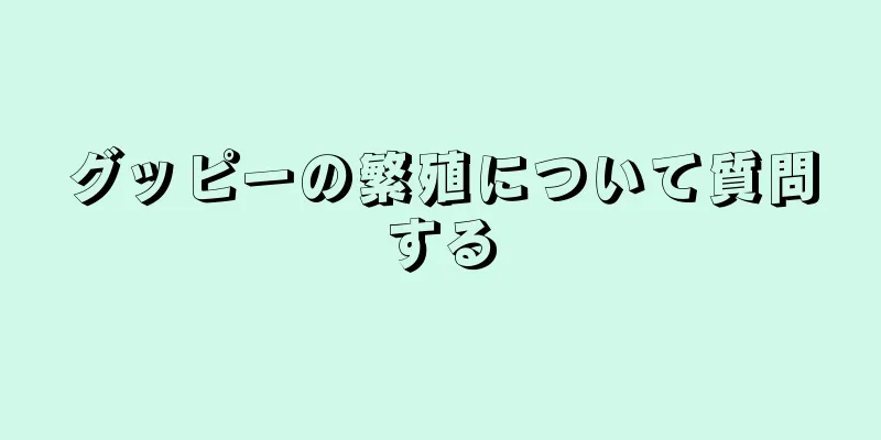 グッピーの繁殖について質問する
