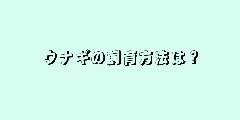 ウナギの飼育方法は？