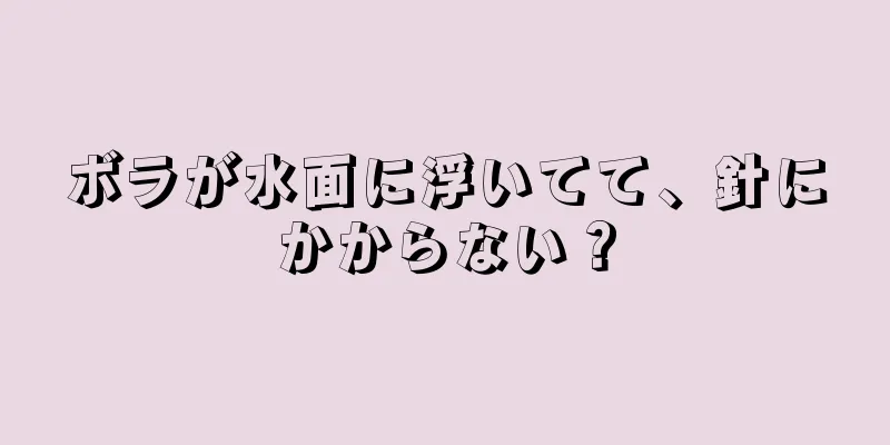 ボラが水面に浮いてて、針にかからない？
