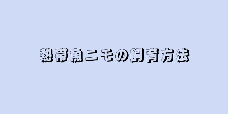 熱帯魚ニモの飼育方法