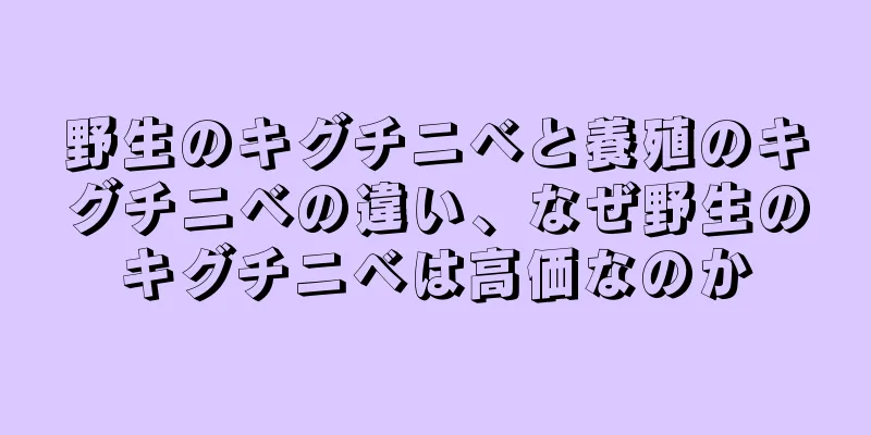 野生のキグチニベと養殖のキグチニベの違い、なぜ野生のキグチニベは高価なのか