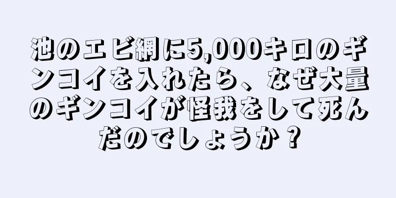 池のエビ網に5,000キロのギンコイを入れたら、なぜ大量のギンコイが怪我をして死んだのでしょうか？