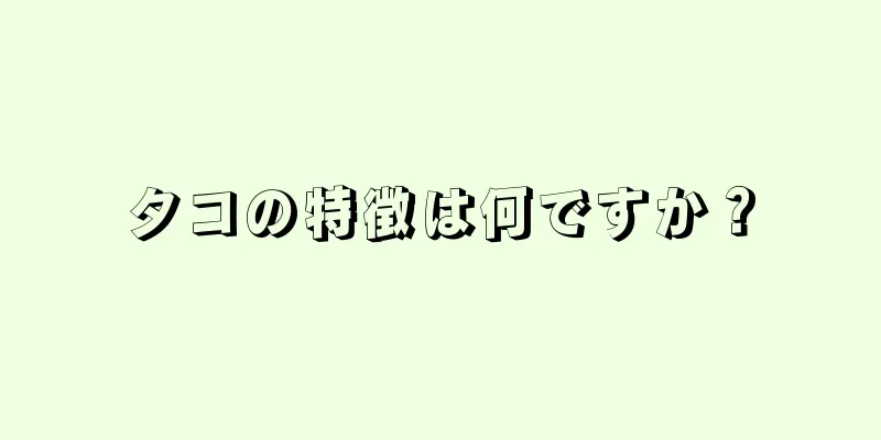 タコの特徴は何ですか？