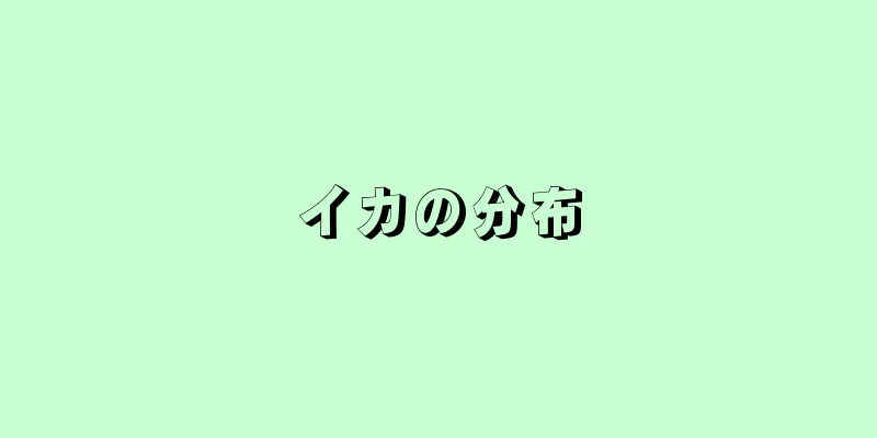 イカの分布