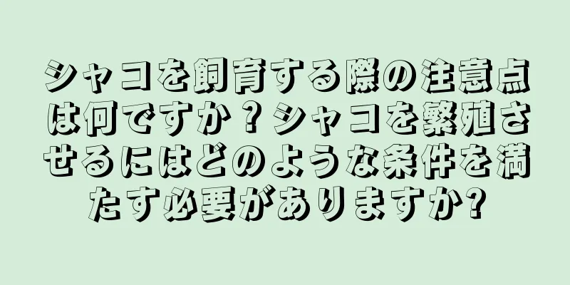 シャコを飼育する際の注意点は何ですか？シャコを繁殖させるにはどのような条件を満たす必要がありますか?
