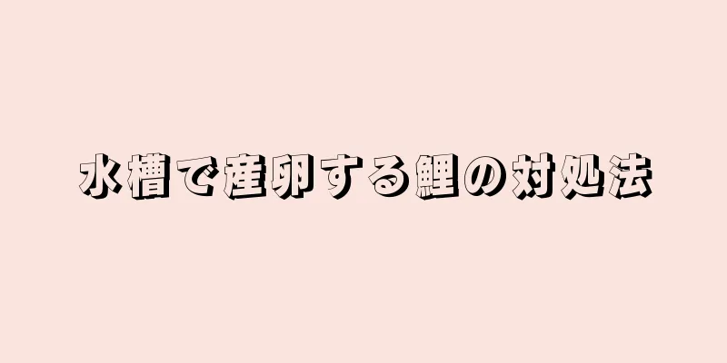 水槽で産卵する鯉の対処法