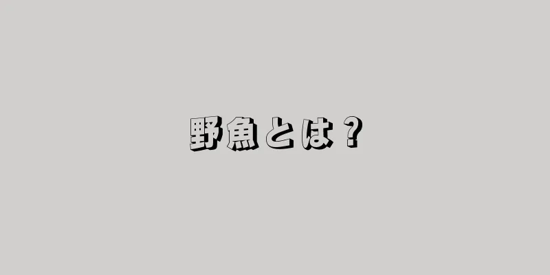 野魚とは？