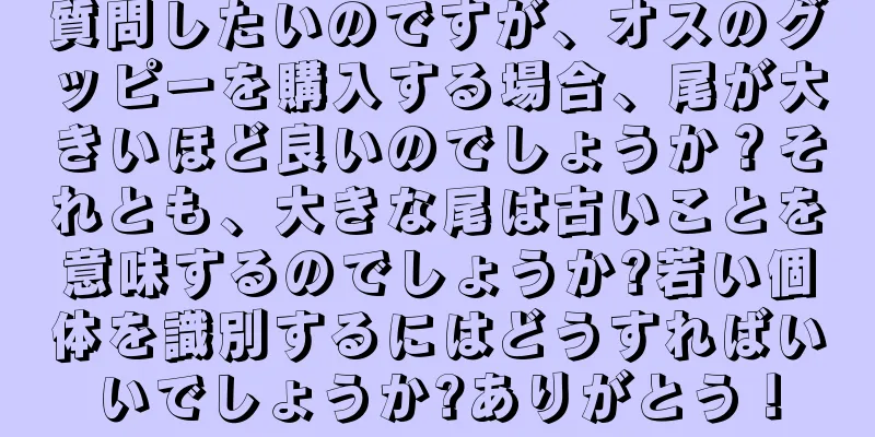 質問したいのですが、オスのグッピーを購入する場合、尾が大きいほど良いのでしょうか？それとも、大きな尾は古いことを意味するのでしょうか?若い個体を識別するにはどうすればいいでしょうか?ありがとう！