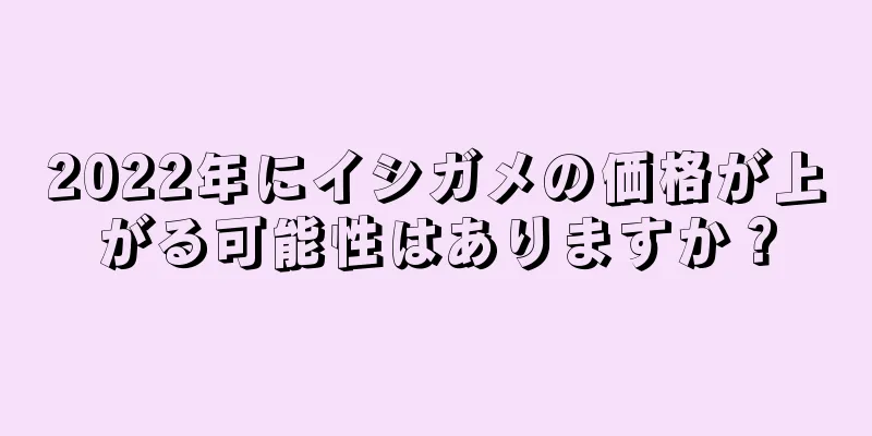 2022年にイシガメの価格が上がる可能性はありますか？