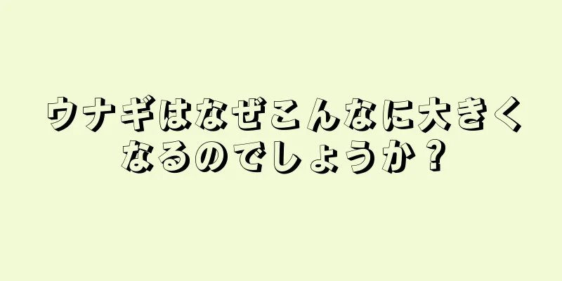 ウナギはなぜこんなに大きくなるのでしょうか？