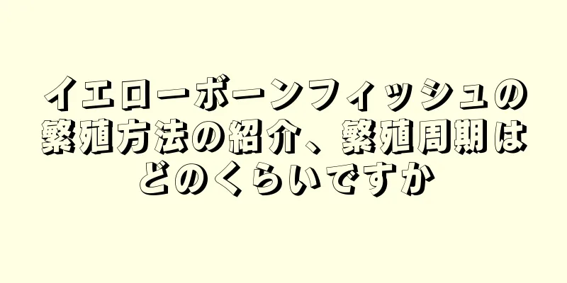 イエローボーンフィッシュの繁殖方法の紹介、繁殖周期はどのくらいですか