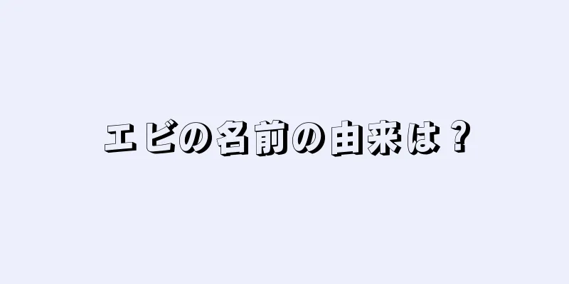 エビの名前の由来は？