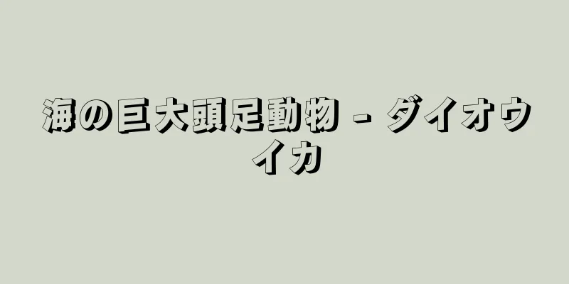 海の巨大頭足動物 - ダイオウイカ