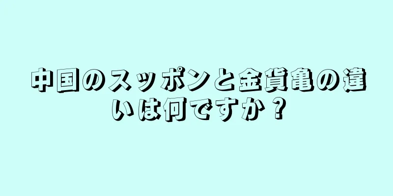 中国のスッポンと金貨亀の違いは何ですか？