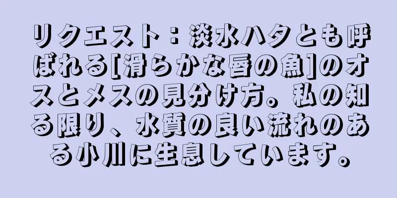 リクエスト：淡水ハタとも呼ばれる[滑らかな唇の魚]のオスとメスの見分け方。私の知る限り、水質の良い流れのある小川に生息しています。