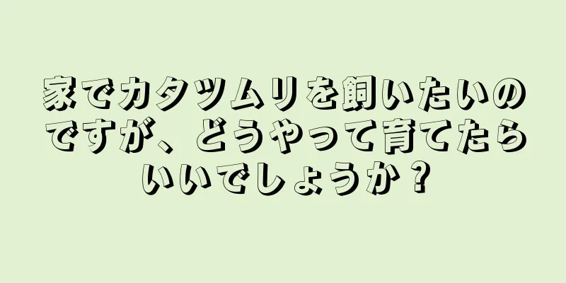 家でカタツムリを飼いたいのですが、どうやって育てたらいいでしょうか？