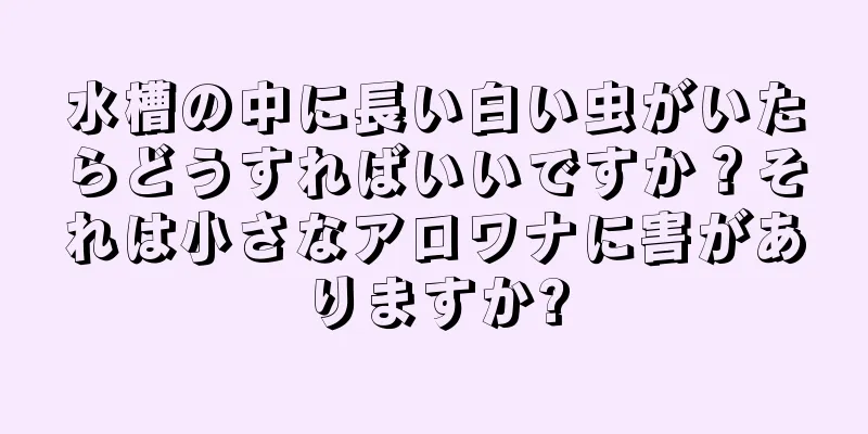 水槽の中に長い白い虫がいたらどうすればいいですか？それは小さなアロワナに害がありますか?