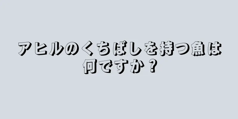 アヒルのくちばしを持つ魚は何ですか？