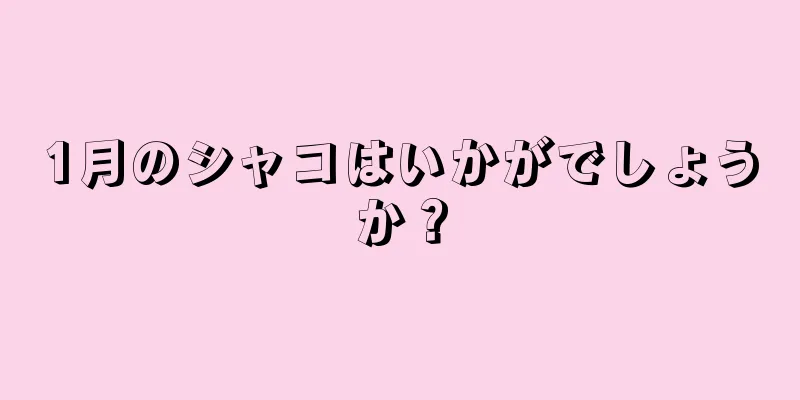 1月のシャコはいかがでしょうか？