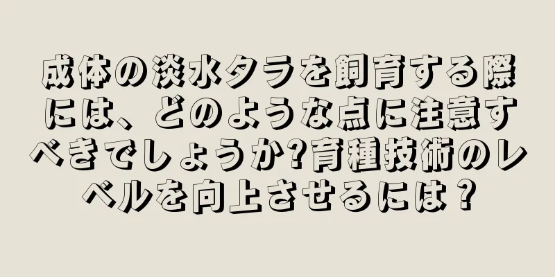 成体の淡水タラを飼育する際には、どのような点に注意すべきでしょうか?育種技術のレベルを向上させるには？