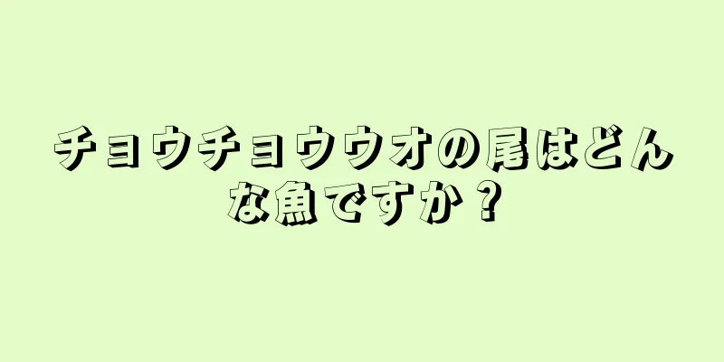 チョウチョウウオの尾はどんな魚ですか？