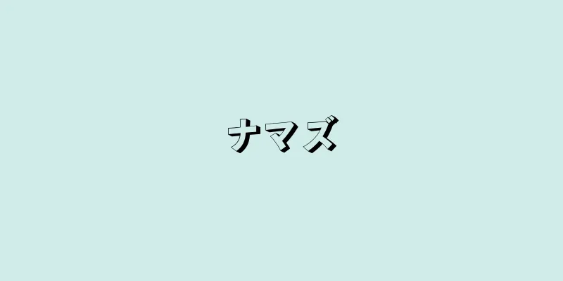 ナマズ