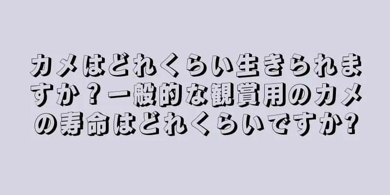 カメはどれくらい生きられますか？一般的な観賞用のカメの寿命はどれくらいですか?