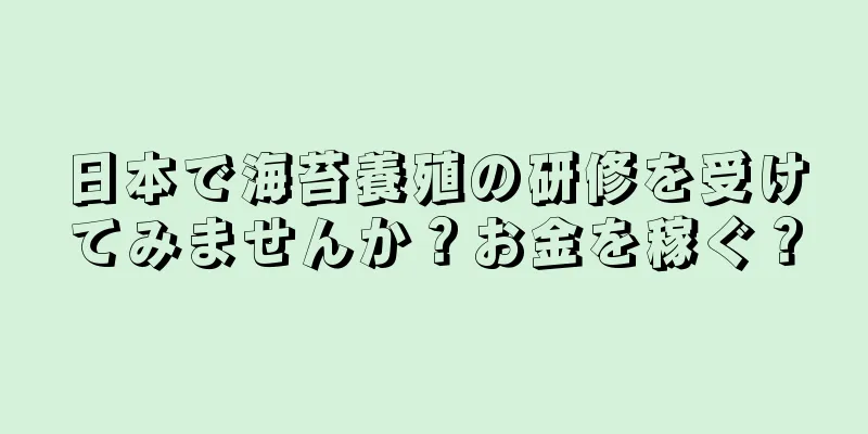 日本で海苔養殖の研修を受けてみませんか？お金を稼ぐ？