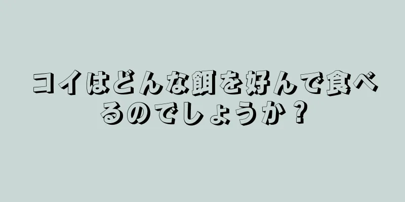 コイはどんな餌を好んで食べるのでしょうか？