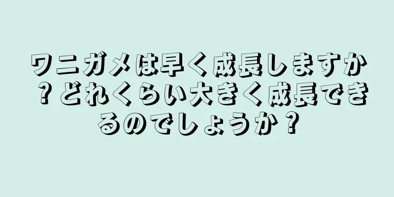 ワニガメは早く成長しますか？どれくらい大きく成長できるのでしょうか？